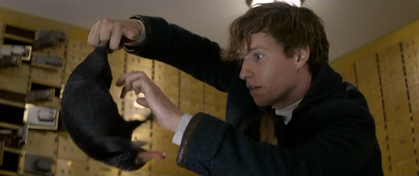 fantastic beast and where to find them 02 