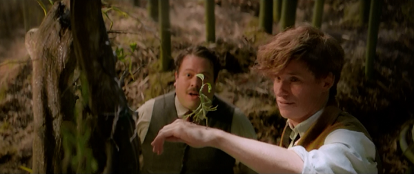 fantastic beast and where to find them 02 