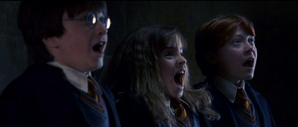 Harry Potter Chapter 16 Guarding something